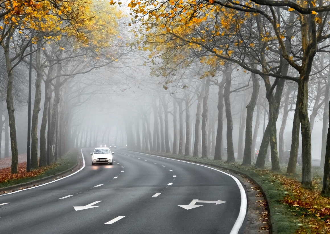 use of fog lamps, right moment to use fog lamp use of fog lamps, right moment to use fog lamp